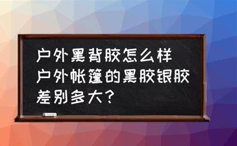 在楼房养黑背怎么样