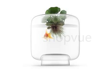鱼缸水怎么才算养好