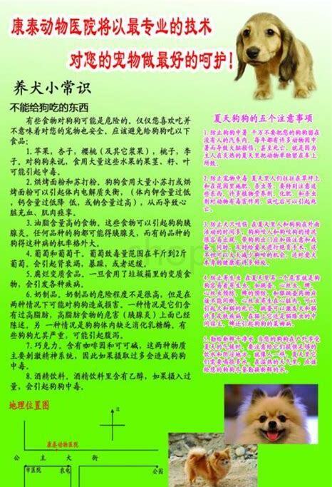 刚回来的狗狗怎么养 刚回来的狗狗怎么养