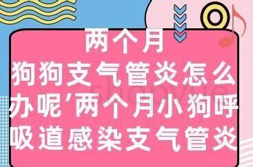 两个多月小狗怎么养