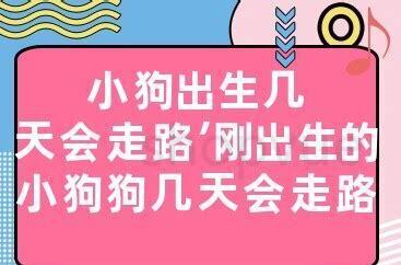 刚出生几天的小狗怎么养