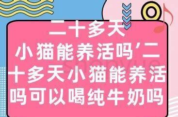 二十几天的小猫怎么养