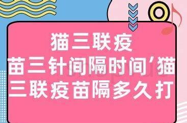 猫三联打几针