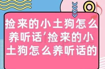 两个月的土狗怎么养