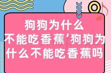 狗能吃香蕉吗为什么 狗能吃香蕉吗为什么