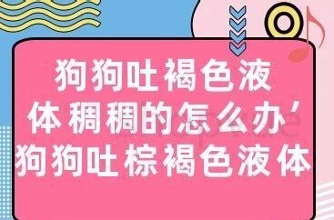 狗狗突然吐很稠的白沫