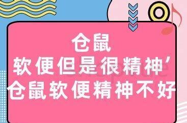 猫咪吃蟑螂会不会生病