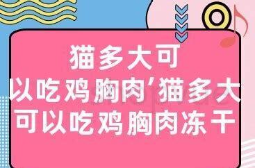 猫可以吃鸡胸肉吗 猫可以吃鸡胸肉吗