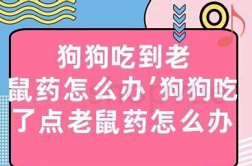 狗狗吃了老鼠药的症状