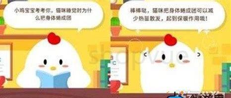 猫咪睡觉时为什么会卷起来