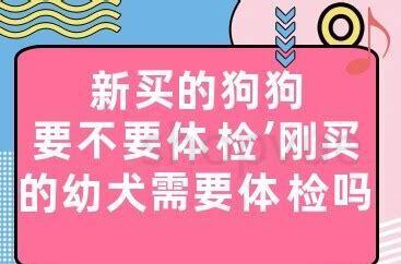 狗胡子被剪掉了怎么办 狗胡子被剪掉了怎么办