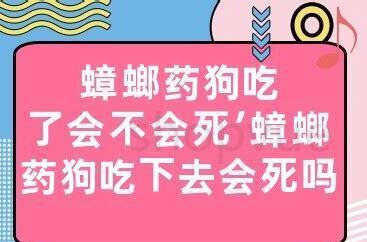 猫吃了蟑螂怎么办