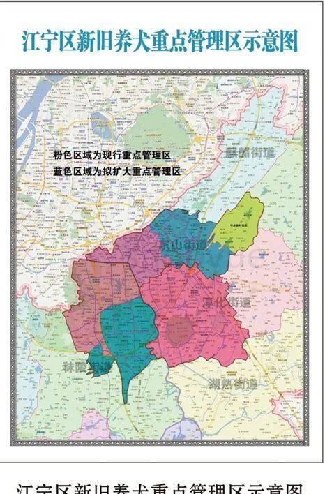 杭州养狗新规2020