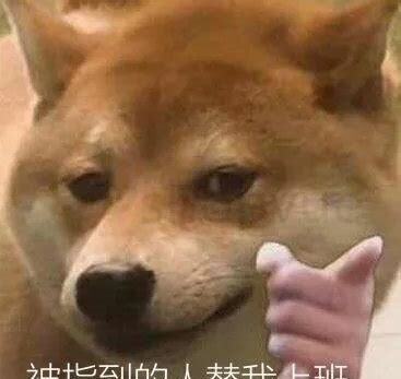 狗用尾巴干什么