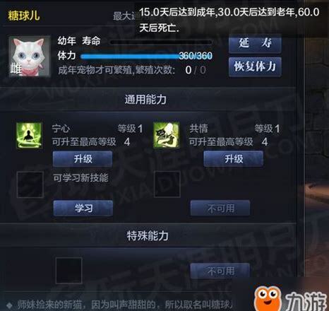 40天小猫能吃肉吗 40天小猫能吃肉吗