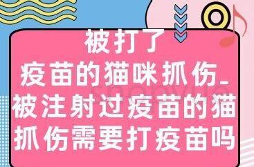 宠物猫抓伤需要打疫苗吗