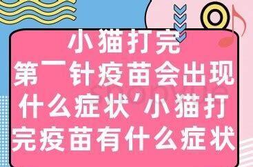 小猫打完第一针疫苗会出现什么症状