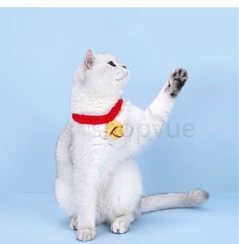 猫咪脖子上有个疙瘩 猫咪脖子上有个疙瘩