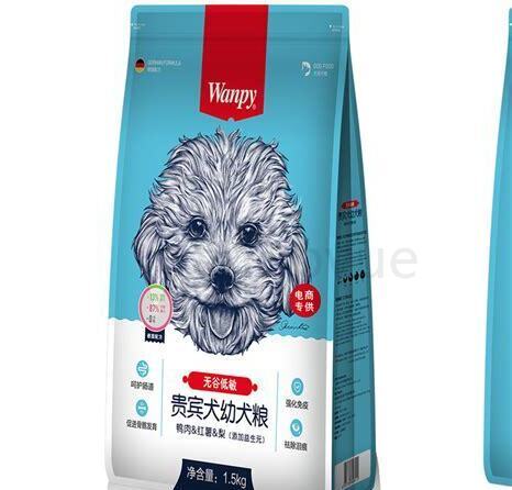 巨型贵宾幼犬怎么养