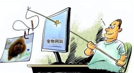 狗狗呕吐黄水泡沫粘液怎么办