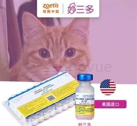 土猫不打疫苗可以吗