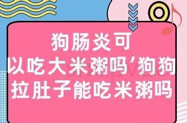 狗狗拉肚子能自愈吗