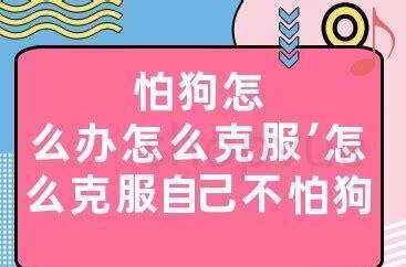 怕狗怎么养狗