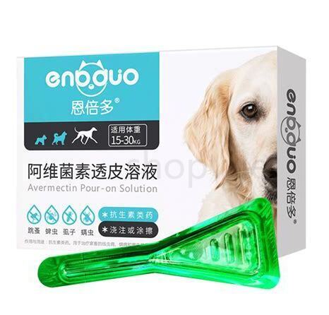 猫吃完驱虫药吐黄水 猫吃完驱虫药吐黄水