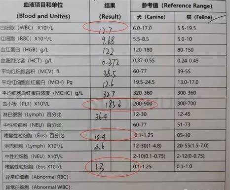 狗狗三项抗体正常值 狗狗三项抗体正常值