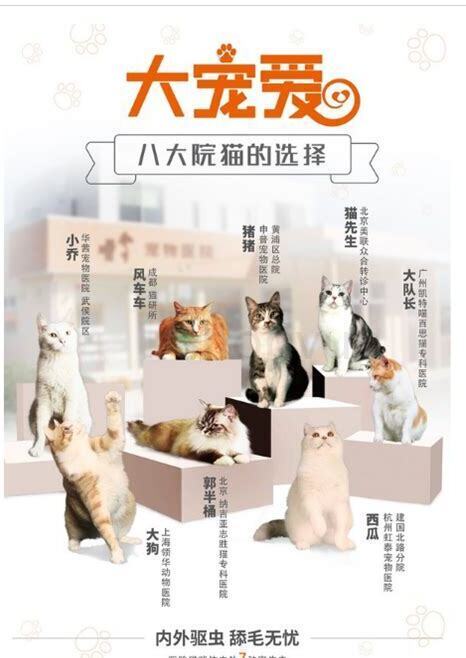 滴完大宠爱多久能洗澡,猫用大宠爱多少时间后可以洗澡