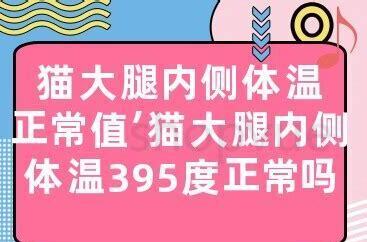 猫正常体温
