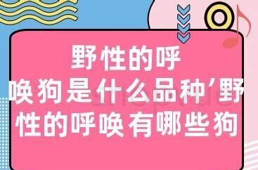 狗狗喉咙发炎能自愈吗