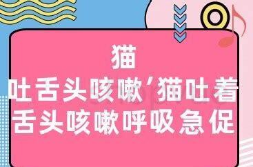 坐车猫吐舌头呼吸急促会死吗,坐车猫吐舌头急促呼吸怎么办