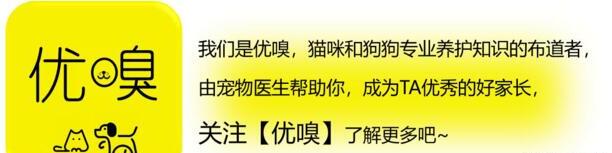 狗狗中暑怎么治疗方法