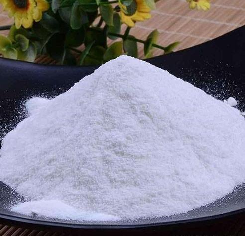 三个月边牧掉毛如何办,边牧掉毛严重怎么回事