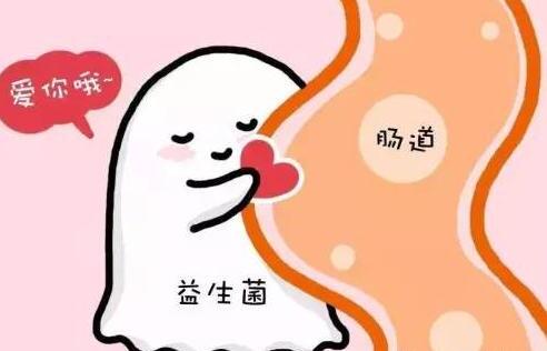 刚买回来的小金毛拉稀如何办,幼狗拉稀怎么办 刚买回来的小金毛拉稀如何办,幼狗拉稀怎么办