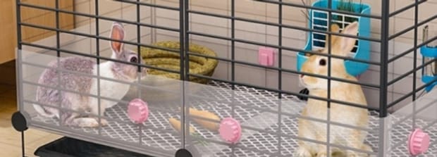 夏天兔子生了要不要做窝保暖,保暖兔子窝的制作方法