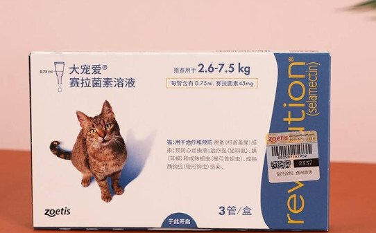 妙宠爱和大宠爱的区别-大宠爱和妙宠爱的两三个区别