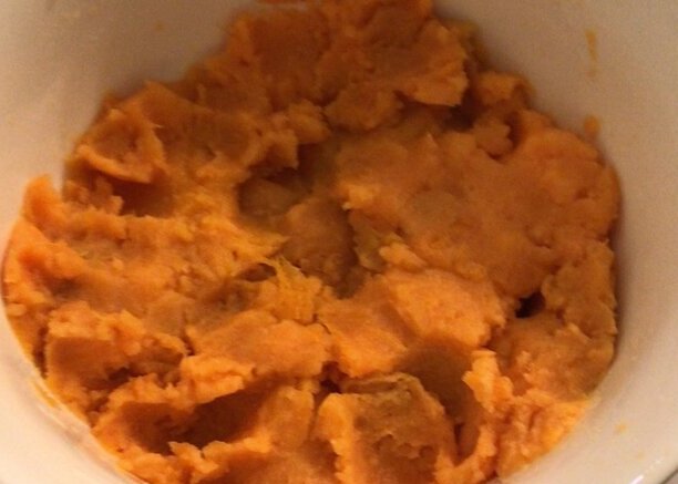猫吃红薯的正确方法,猫一次可以吃多少红薯