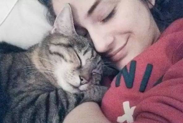家里养猫好不好-养猫是好还是不好