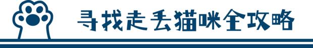 猫走丢了怎么样才能找回来-怎样写寻猫启示