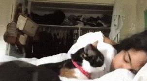 女生不能和猫一起睡-女生要和你养猫是什么意思