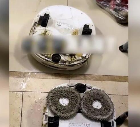 狗在家拉屎被扫地机器人涂满全家 狗在家拉屎被扫地机器人涂满全家