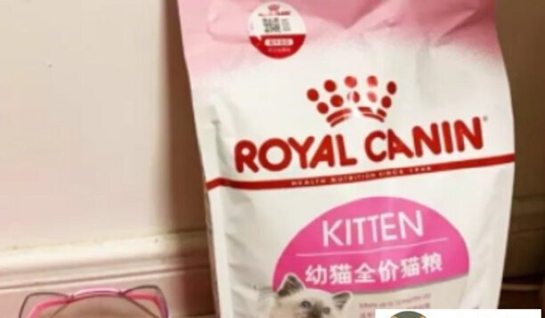 皇家猫粮怎么样-皇家猫粮好不好 皇家猫粮怎么样-皇家猫粮好不好