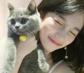 吸猫是啥意思是什么-网络词吸猫是什么意思