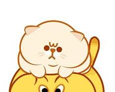 好听的猫咪名字100个-好听的小猫名