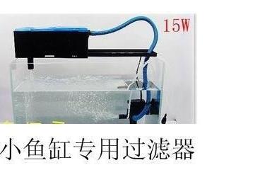 养殖凤尾鱼的方法-凤尾鱼的养殖方法