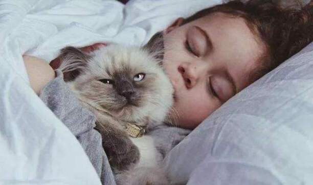 女生不能和猫一起睡-女生要和你养猫是什么意思