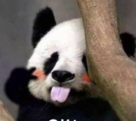 大熊猫的历史分布范围-大熊猫为什么被中国视为国宝