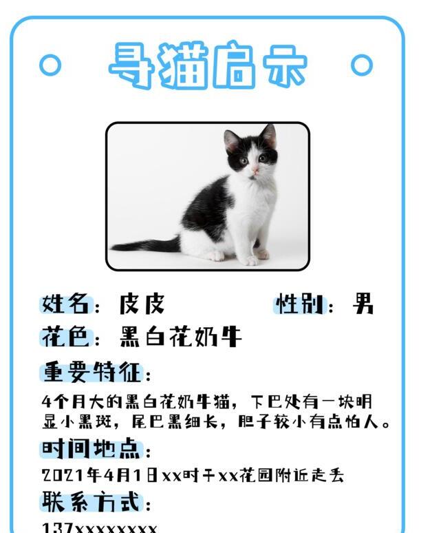 猫走丢了怎么样才能找回来-怎样写寻猫启示